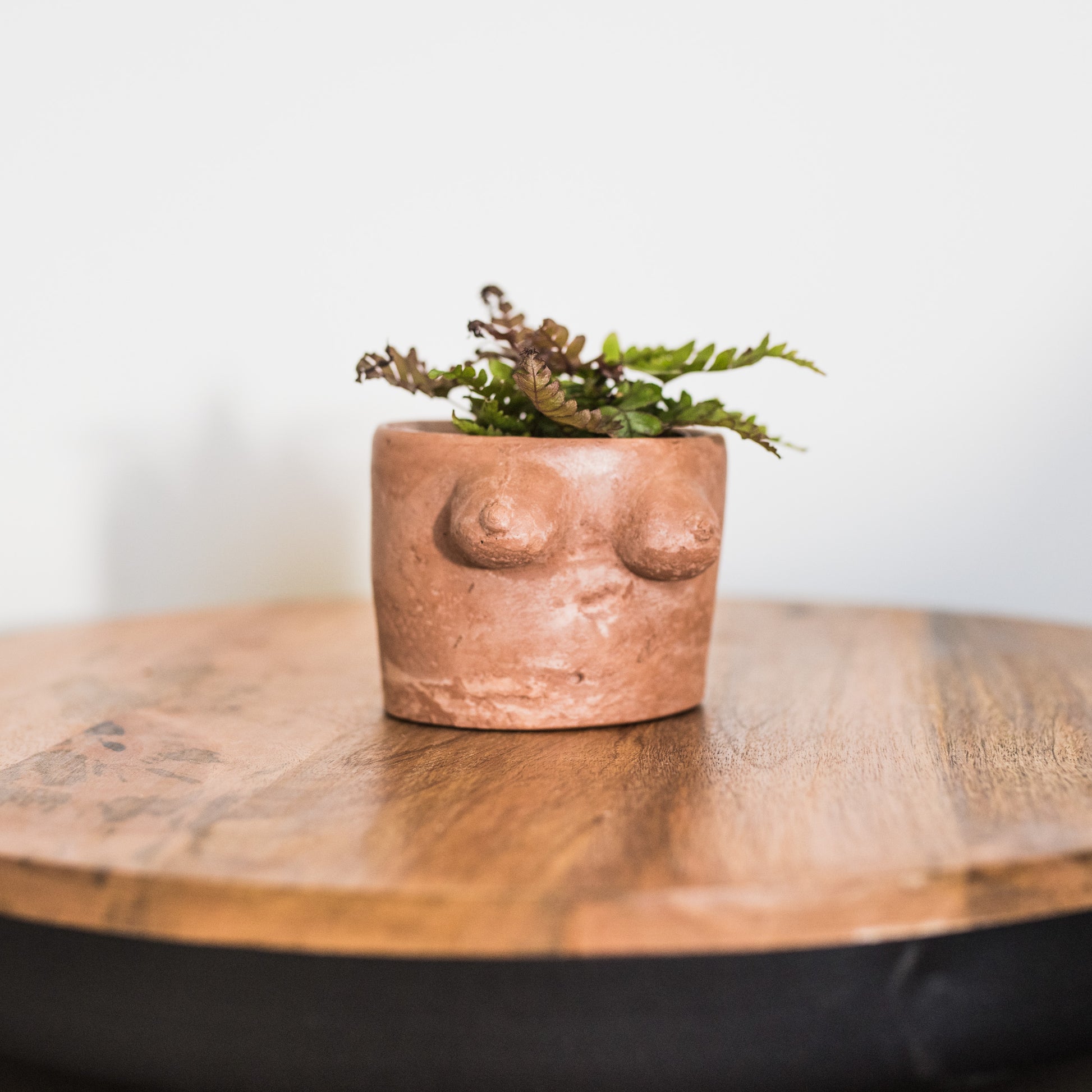 Planter | Boob Planter Pot | Loomshine